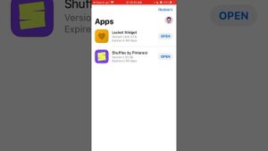 How to use Locket widget in TestFlight mode?