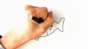 Рисунок Акуленок / Как нарисовать АКУЛЕНКА / Урок рисования для начинающих