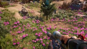 Far Cry: New Dawn - Тайник «Стрельба по мишеням»