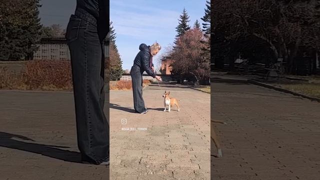 1000038789.mp4