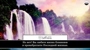 Чтец: Валид Абу Мухаммад, сура "Аль Кияма"