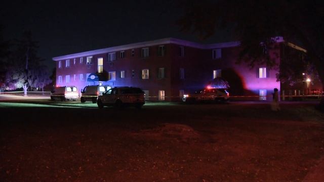 Police: Woman, 9-year-old boy, cat injured during Hilltop shooting смотреть онлайн