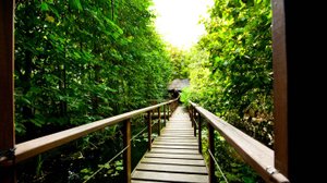 Гинкго Парк Новочеркасск