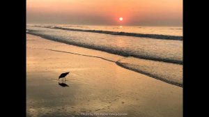 Illumination   -  Secret Garden