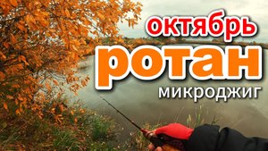 УТРО. ЛОВЛЮ РОТАНА в ОСЕННЕМ прудике! #микроджиг #стритфишинг #microjig #streetfishing