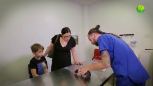 Ветеринары. Живая планета. 1 сезон. Эпизод 4.