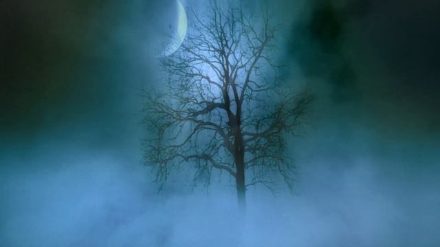 Ложе тумана* Расслабляющая музыка для креативных решений#3-часовой трек чилл-аут музыки