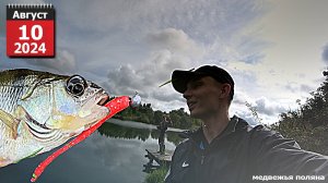 ОКУНЬ ПРЕТ , КАЖДЫЙ ЗАБРОС . СПИННИНГ 2024