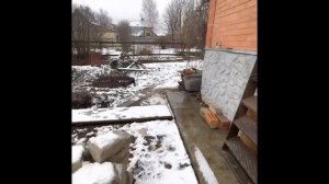 ДАЧА 01 АПРЕЛЯ 2023 | СНЕГ ВЕСЬ РАССТАЯЛ | РОЗЫ НЕ ПЕРЕЖИЛИ ЗИМУ #влог #дача #обзор #vlog