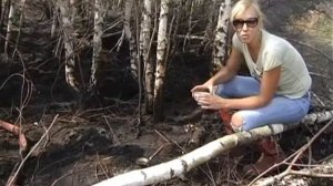 Торфяной пожар