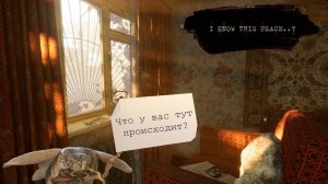 Что у вас тут происходит? I Know This Place...? | Letspaly/Прохождение