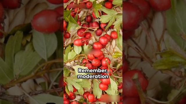 Boost Your Blood Circulation  5 Superfoods and Herbs 2024 #healthy #healthylifestyle #healthyfood