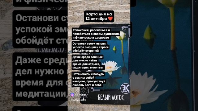 ПОДПИШИСЬ ❤️ КАРТА ДНЯ ❤️ ХРОНИКИ АКАШИ ❤️ЛАНА ПРО#астрологланапро  #астрология #натальнаякарта