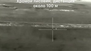 12. Охота на хищника в Волгоградской области, карабин R-715, прицел Iray Saim SCT35