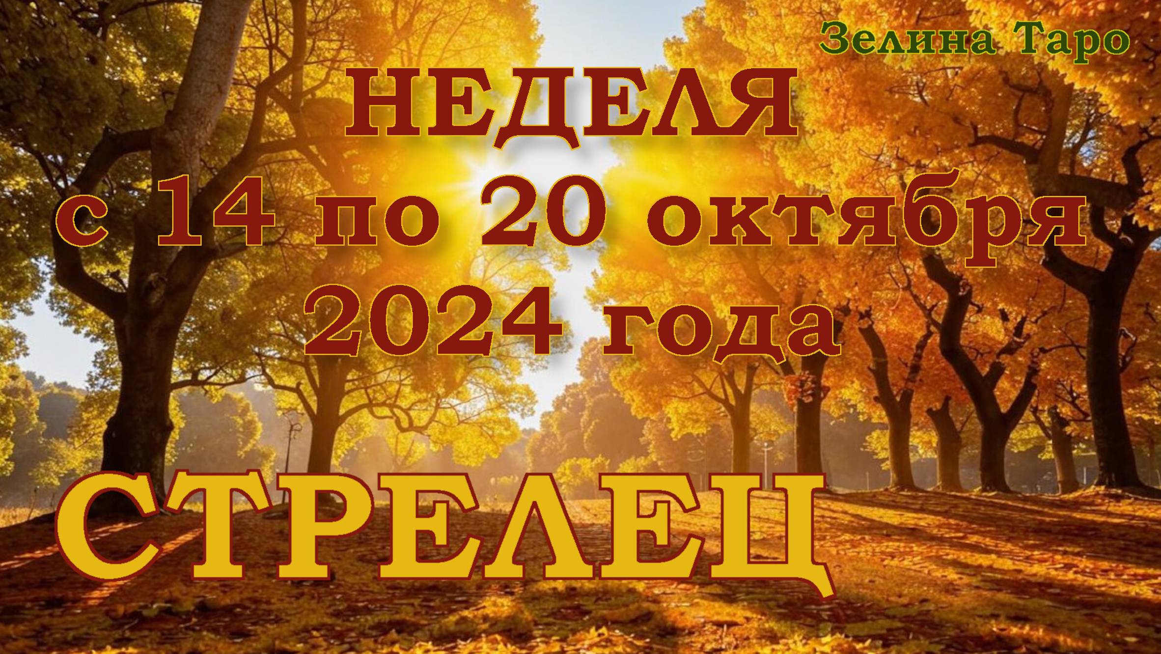 СТРЕЛЕЦ | ТАРО прогноз на неделю с 14 по 20 октября 2024 года