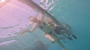 Китовые акулы, Танаван, Ослоб, Себу, Филиппины