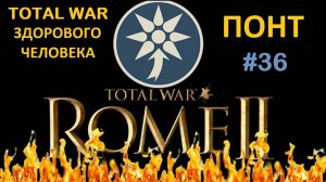 Rome 2 Total War здорового человека. Понт #36