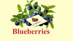 Учим ягоды на английском языке или learning berries