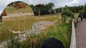 ПРИКЛЮЧЕНИЯ ПО ЗООПАРКУ В КРИСТИАНСАНН. Kristiansand Dyreparken.