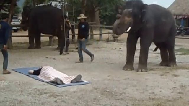 массаж от слона смотреть онлайн