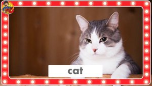 Old MacDonald Had A Farm | Farm Animals | Dream English Kids