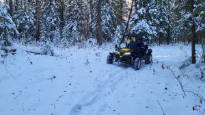 Багги наступила зима.mov