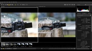 Nikon D5500 VS Nikon  D750 для Фото охоты 300мм F4 FL