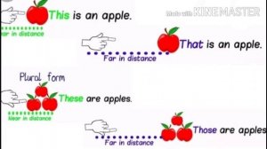 This, That, These, Those for kids