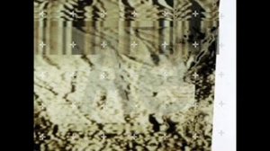 Autechre- Basscadet