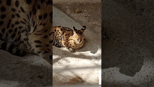 Иногда нужно просто выйти на улицу и погулять, забыть обо всех своих проблемах