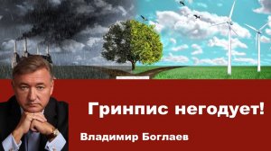 Владимир Боглаев на канале Спец: Гринпис негодует!