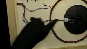 Вводная СП2. Первая часть