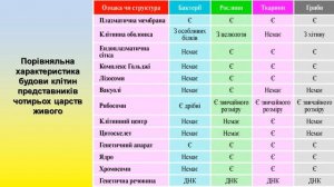 Типи клітин та їх порівняльна характеристика: прокаріотична та еукаріотична клітина. Узагальнення