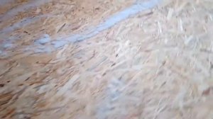 Каркасный дом 4 на 6. День 6. Крыша.