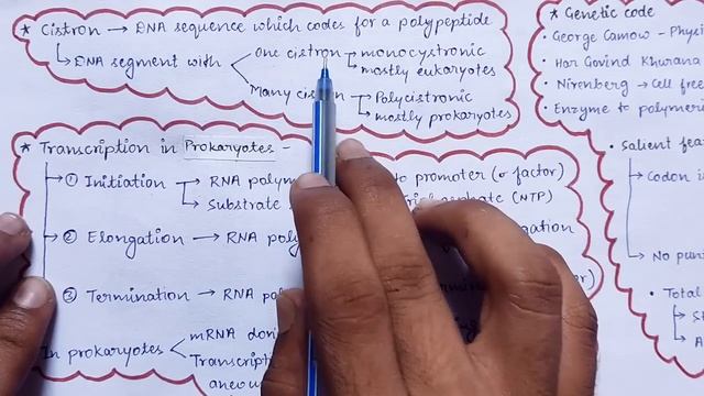 Molecular Basis of Inheritance Class 12 Mind map NEET Genetics Best Revision video #neet2022 #neet
