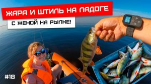 Жара, штиль и много много рыбы!