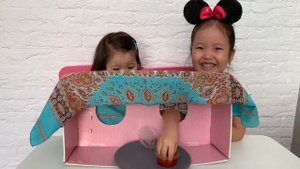 ЧЕЛЛЕНДЖ. Угадай что в коробке? Игры для детей.