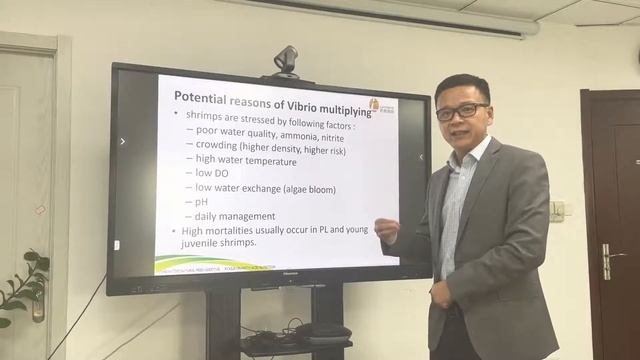 Vibrio | Vibriosis in vannamei shrimp culture | shrimp health | vibrio in shrimp farming | WFS смотреть онлайн