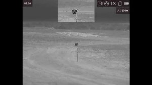 Ночные выстрелы ( часть 10).