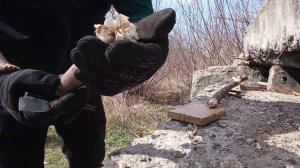 Тест ножа Cold Steel Spartan (реплика) от сайта Ножеман. 2020.