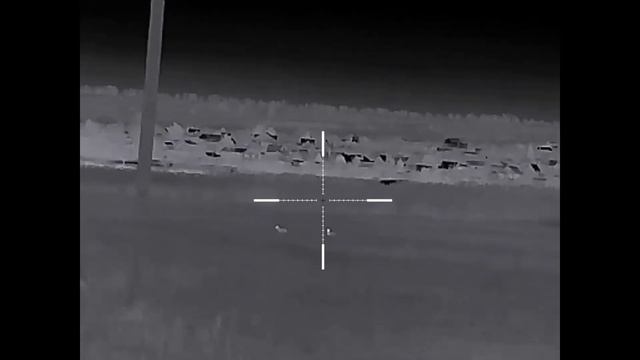 Охота ночью на хищника смотреть онлайн