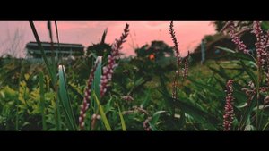 iphone 13 pro Cinematic 4k camera test
