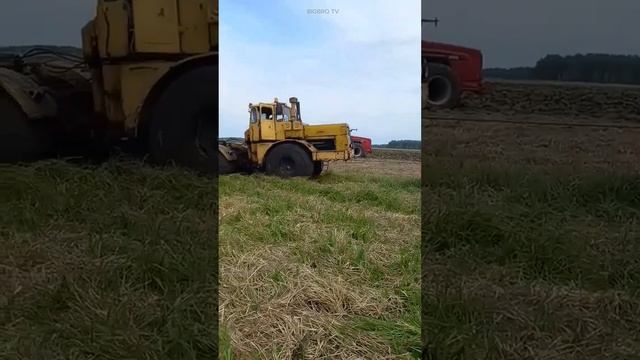 КИРОВЕЦ #shorts #кировец #ссср #trend #tractor #offroad #funnyshorts #reels #tiktok #top #bigbrotv