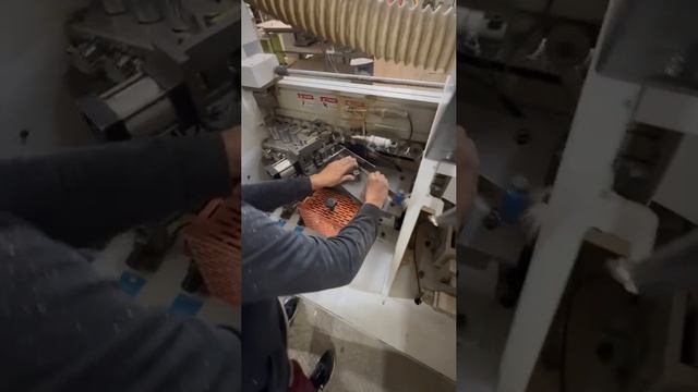 video5215197574272673224