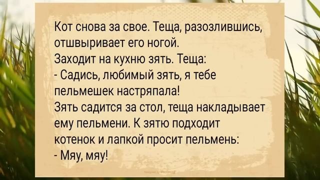 Подождем когда нас поимеют...АНЕКДОТЫ ДЛЯ ВЗРОСЛЫХ #анекдоты #сборниканекдотов #подборкаанекдотов