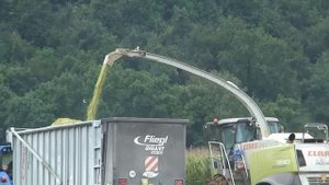 Claas Jaguar 990