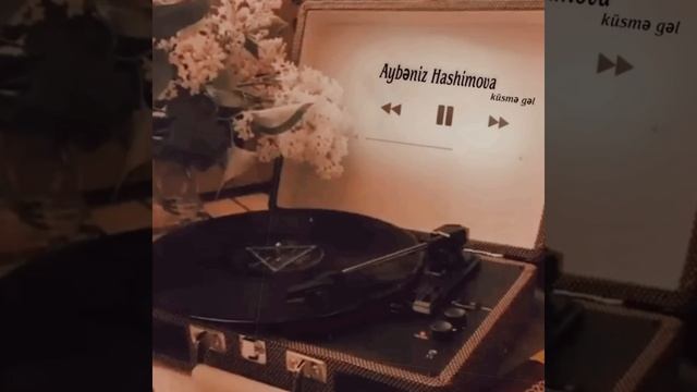 Aybeniz Hashimova & küsme gel смотреть онлайн
