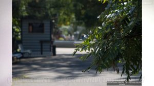 Объектив Nikon 24 -120mm F3.5-5.6D AF Nikkor В 2023 Году На кропе и ФФ