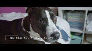 BlackMagic Pocket cinema 6k Pro lil test shots