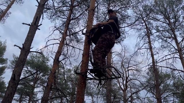 Охота на кабана летом смотреть онлайн